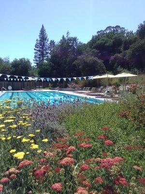 La Madrona 25 yard pool