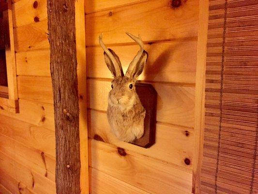 the Cabins at Lake Colby