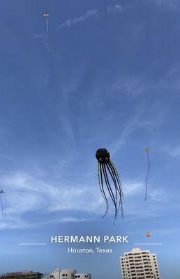 Hermann Park Kite Festival