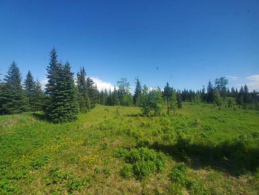 North Fork Road, Anchor Point, Alaska