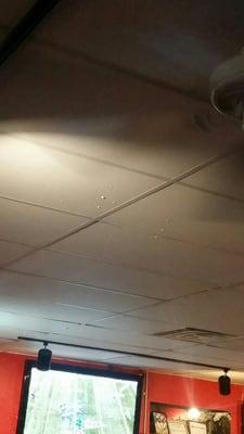 Spit balls on the ceiling.  :-( :-(