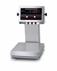 Right Weigh Scale