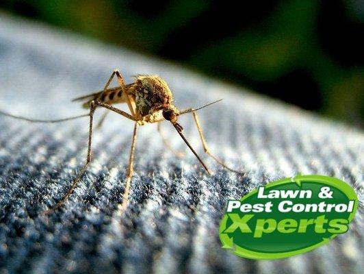 Lawn & Pest Control Xperts