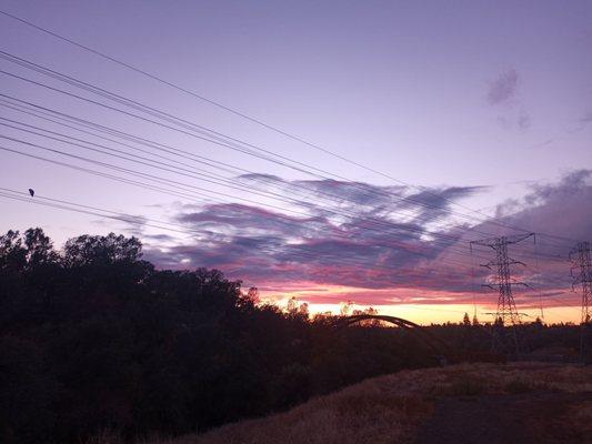 Sunset over bridge, red tailed hawk sitting on telephone wires upper left