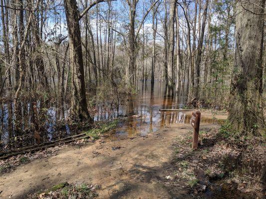 Colleton State Park