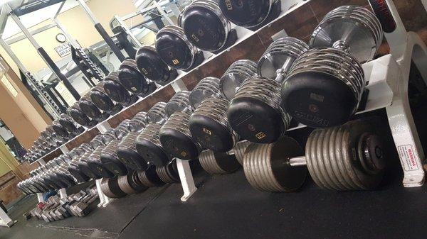 Free weights up to 150 lbs!