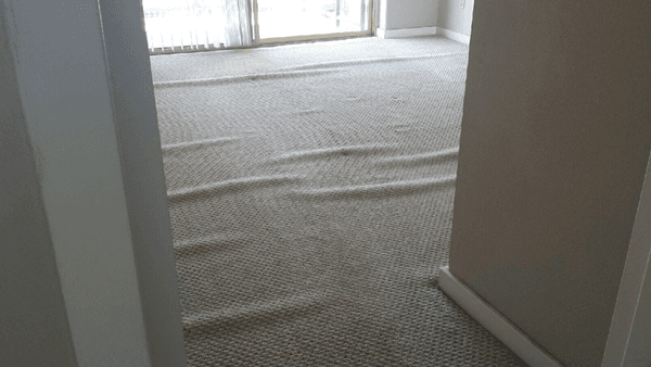 One of the reasons carpet gets bubbles in it is from improper installation. Its a common thing we fix daily.