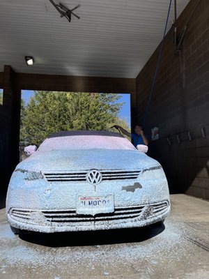 Elephant Touchless Car Wash