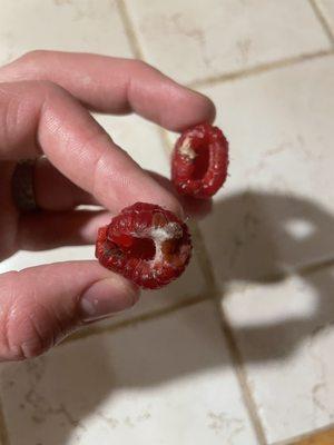 Moldy Raspberries