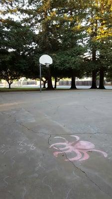 Basketball court