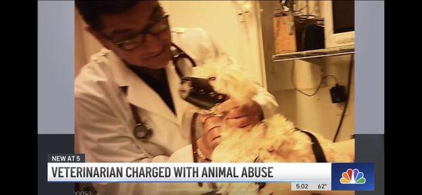 This is dr Javier Diaz, Main Street Animal Hospital strangling one of his many victims/ patients. There is video footage online.