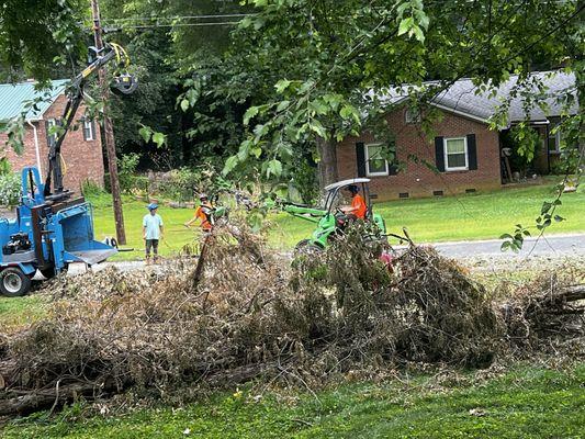 Tree fell here and they team worked to cut it and haul it out.