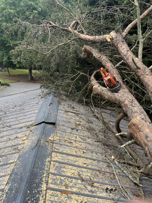 J.E.'s Excavation, Clearing and Tree Work