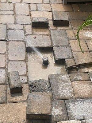 Sprinkler head buried in patio.