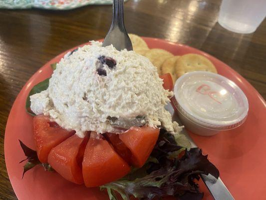 Chicken salad is great!