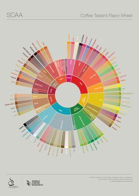 SCAA Coffee Flavor Wheel