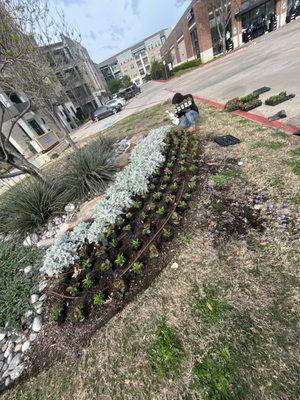 Spring is here Flower mapping , for flower bed