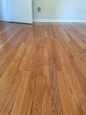 After Eric and his crew at Ace Hardwood Flooring.