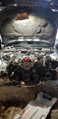 Timing belt replacement