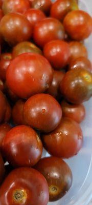 Local tomatoes from Johns Island SC