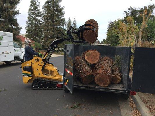 Mini Skid Loader