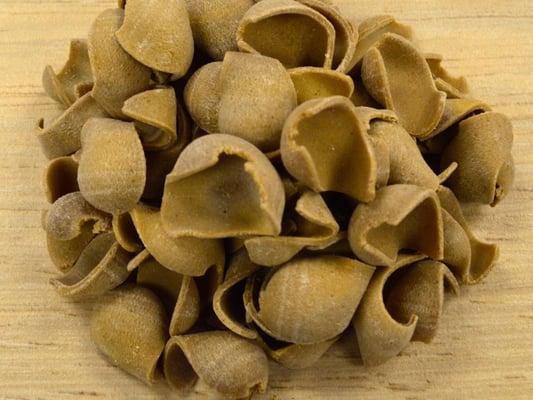 Mushroom Orecchiette