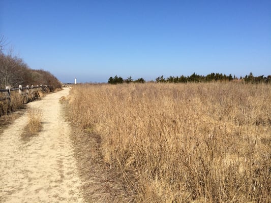 Trail with the Cape May lighthouse in the distance