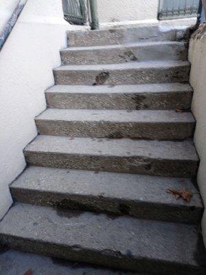 The "easy exit" door from basement leads to these steps and these steps lead to parking lot in the back of the Fieldhouse