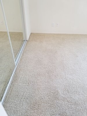 Does this like carpet that needs to be replaced? Scam company.