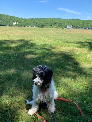 Pit stop for picnic with the beggar.