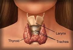 Do you have normal Thyroid Labs, despite having Thyroid symptoms.