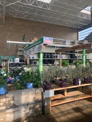 Garden center