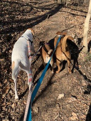 Group hikes