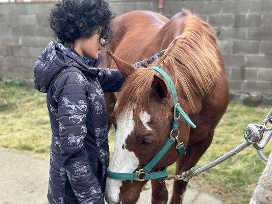 Student with a lesson horse named Tex.