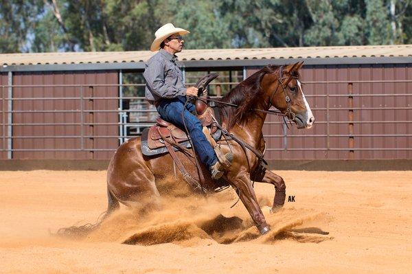 James Ferreira Horse Training, Wilton California