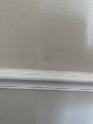 Dent left in wall and painted over.