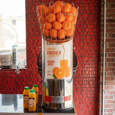 Now offering Fresh Squeezed Orange Juice in Little Italy