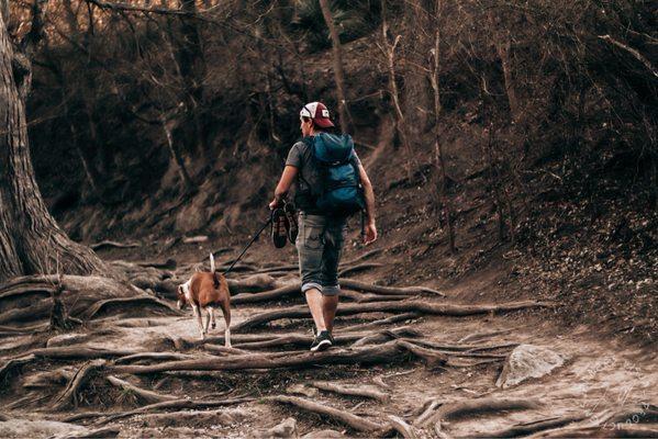 Dog friendly paths