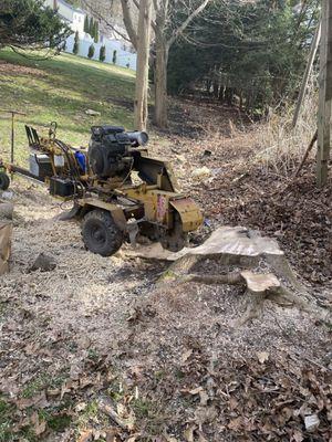 J28 Stump Grinding & Tree Service