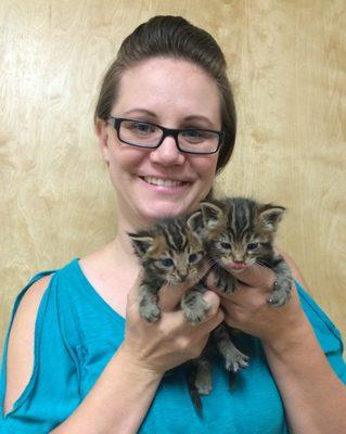 With A-PAL Humane Society, we adopt over 500 shelter kittens every year.