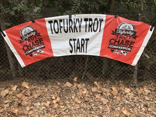 Tofurky Turkey Trot 2017