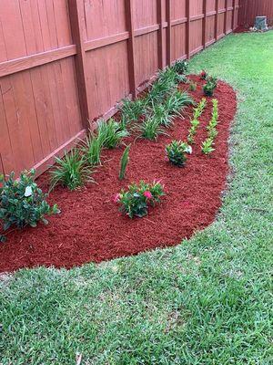 Flower bed maintenance,mulch,flowers