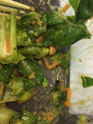 Dead fly in my salad