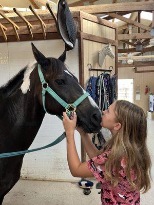 Laurel Manor Equestrian