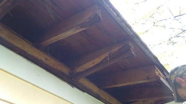 Tore down rotten soffit and fascia