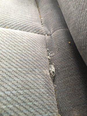 Cigarette ash in the back seat