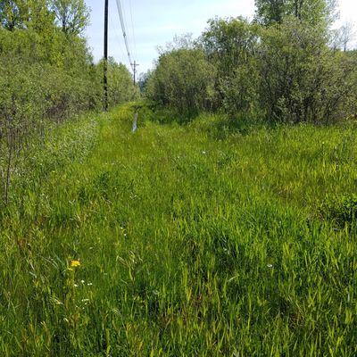 Trail (about a mile in length) leading into the preserve.  Take boots!