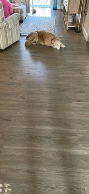 LVT Installation in Living Room