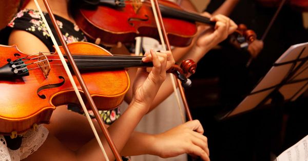 Private music lessons for Adults, Children, Beginners or advanced learners.