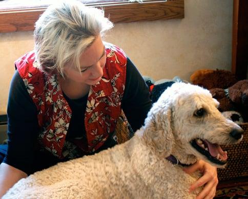 Dr. Annie Seefeldt performs a chiropractic adjustment on a dog.